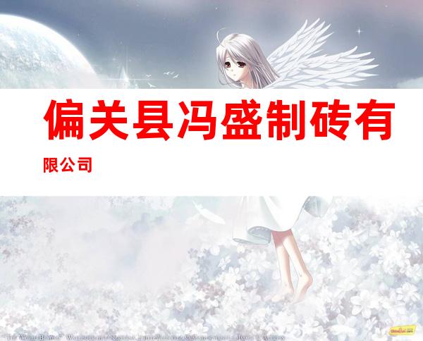 偏关县冯盛制砖有限公司
